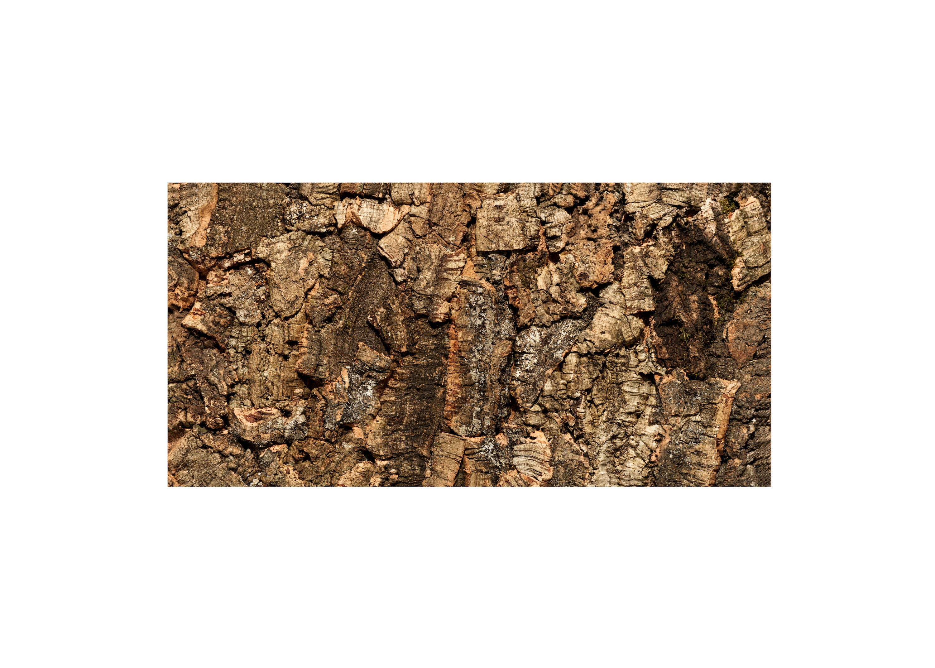 Virgin Cork Wall Panels – First Harvest Cork by OakViva