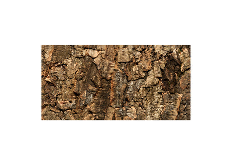 Virgin Cork - First Harvest Cork Wall Panels