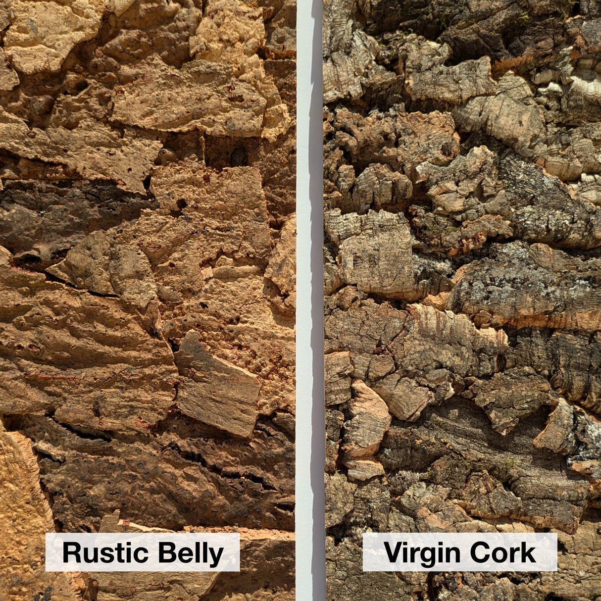 Virgin Cork - First Harvest Cork Wall Panels