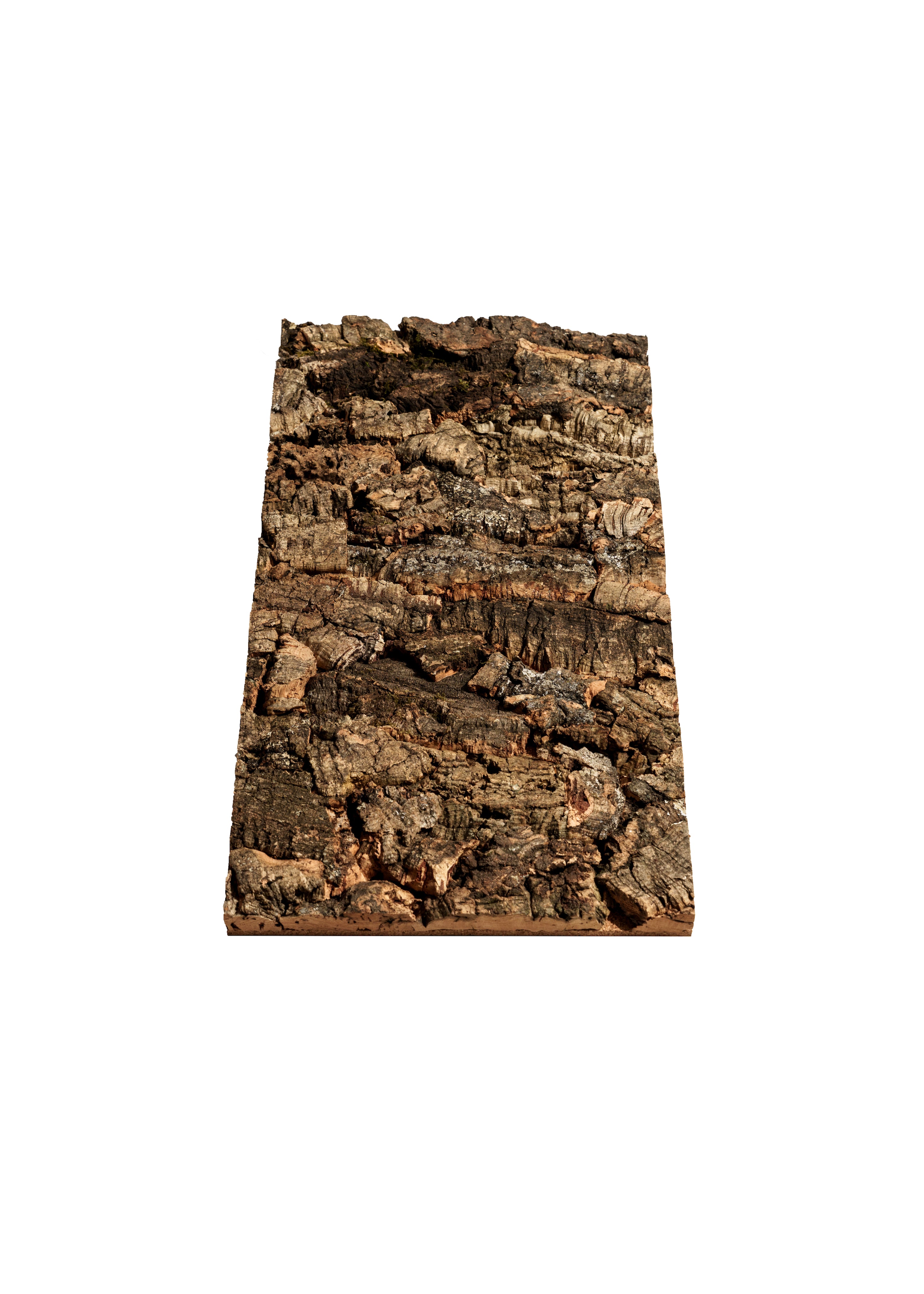 Virgin Cork Wall Panels – First Harvest Cork by OakViva